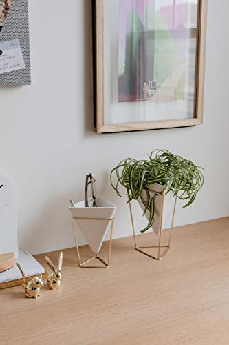 Umbra 1004372-524 Trigg Desktop Planter Vase & Geometric Container-For Succulent, Air, Mini Cactus, Faux Plants And More, Desk, White/Brass thumb #8