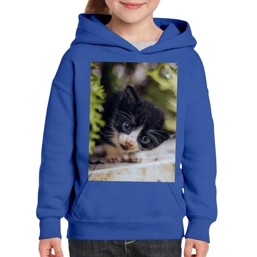 Sweat à capuche enfant chaton noir et blanc qualité supérieure douce