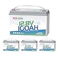 Redodo 12V 100Ah LiFePO4 Battery, Low Temperature Protection, Trolling Motor Battery Group 31 Lithium Battery Built in Upgraded 100A BMS, Ideal for Marine, Boat, RV, Solar and Off Grid 4 Pack