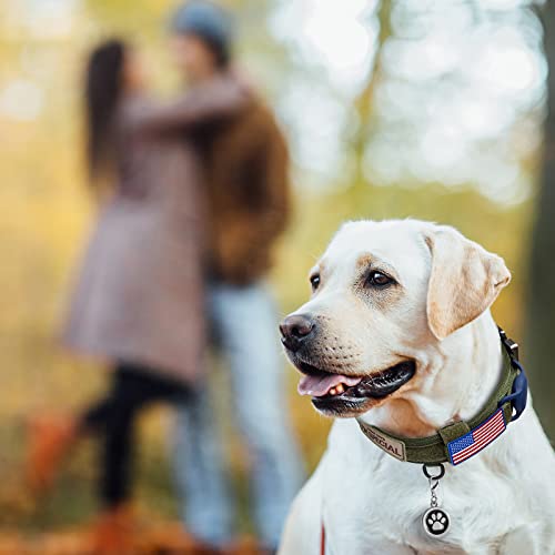 Tactical Dog Collar Adjustable Military Collar: - Nylon K9 Collars With Control Handle And Heavy Duty Metal Buckle For Medium And Large Dogs With 3 Patches And Airtag Case Holder (Xl, Militarygreen) #TOP1