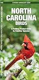 North Carolina Birds: A Folding Pocket Guide to Familiar Species (Wildlife and Nature Identification)