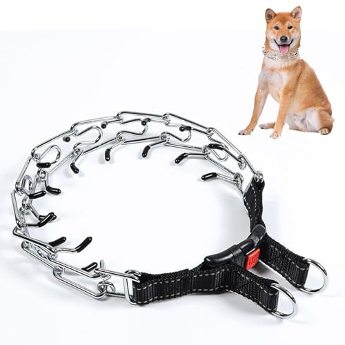 Hundekette mit reflektierendem 3,0 mm x 50 cm Würgekette für Hunde, Antibellhalsband aus Metall, Stachelhalsband mit Abnehmbarer Leine, Würgehalsband Hund, Hundehalsband Kette, Trainingshalsband