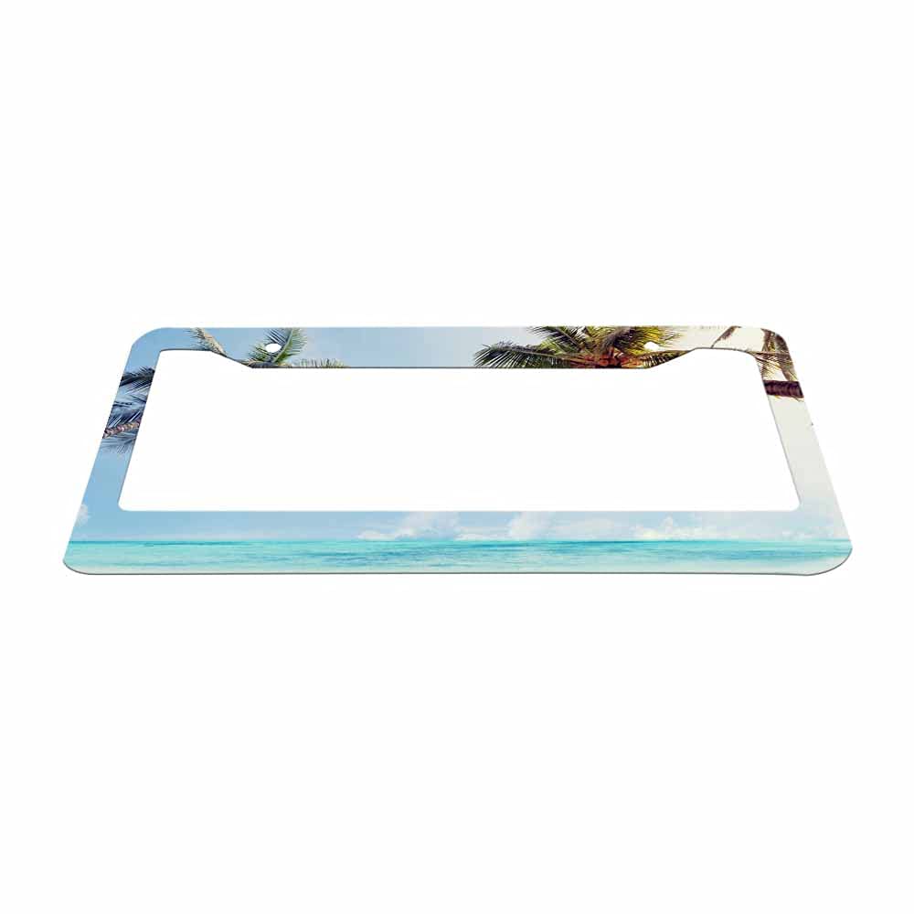 Nicokee Decorative Succulent License Plate Frame – Aluminum Car Tag Holder For US & Canada Cars