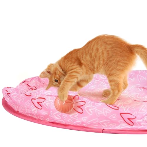 Indoor Cats For Sale 2024 Vet Ranch We Love Pets