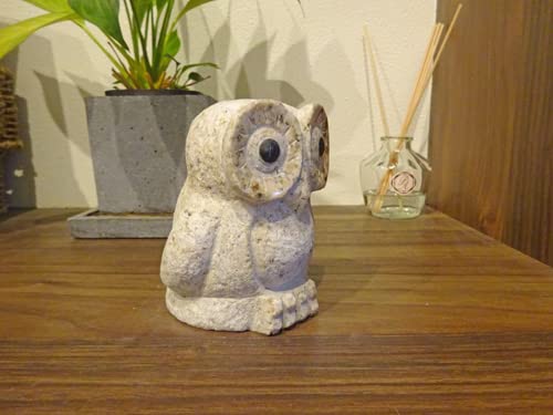 真昼のふくろう 初版 帯付き Amazon.co.jp: 開運 茶 フクロウ (高さ約14.5cm)牛鈴首掛付