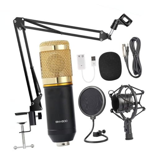 Microphone à condensateur BM et filtre anti-bruit pour éliminer les distorsions de la voix