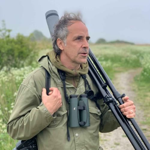 Otryggheten &auml;r konstn&auml;rens b&auml;sta v&auml;n