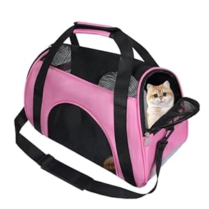 Soft Sided Comfort Cat Carrier，Portable Foldable Pet Travel Carriers Bag For Puppy/Dog With Shoulder Strap & Removable Mat，Durable Cats Basket Airline Approved(Pink,S)