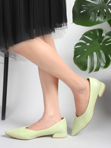 Image of Carlton London Women Comfortable Slipon Pump Shoes with Block Heels, Pointed Toe for Casual and Formal wear