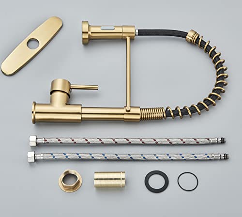Danpiang Gold Kitchen Faucet,Commercial Stainless Steel Single Handle Pull Down Kitchen Sink Faucet With Deck Plate,Brushed Gold #TOP7