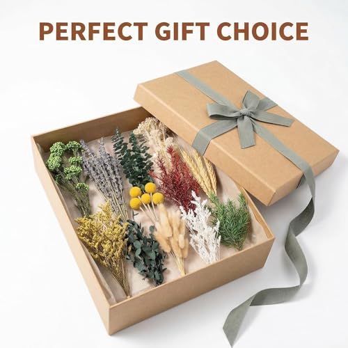 Celblisora 12er Set getrocknete Blumen–Enthält Lavendel,Eukalyptus,Weizen,Hasenschwanzgras, handgefertigt für DIY Bastelarbeiten,Vasendekoration,Hochzeits Dekorationen