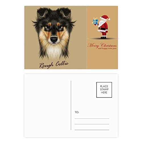 Cartes postales à poils longs animaux lot de 20 illustrations correspondance cadeau