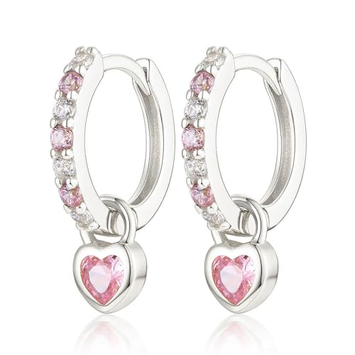 XFSRG Orecchini A Cerchio In Argento 925 Per Donne E