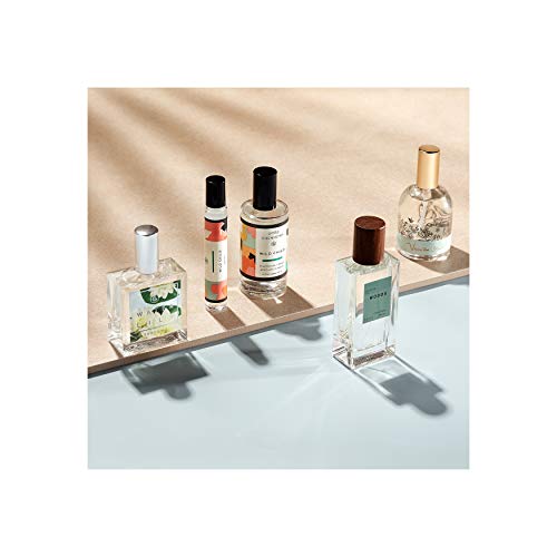 Good Chemistry Wild Child Rollerball Perfume , 0.25 Fl Oz (Pack Of 1) #TOP3