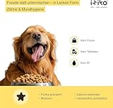 ITIKO | Natürliche Zahnpflege für Hund | Effektive Lösung zur Mundgeruch bei Hund | Zahnreinigung Hund | Alternative zu Zahnsteinspray oder Dentalspray für Hunde