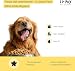 ITIKO | Natürliche Zahnpflege für Hund | Effektive Lösung zur Mundgeruch bei Hund | Zahnreinigung Hund | Alternative zu Zahnsteinspray oder Dentalspray für Hunde