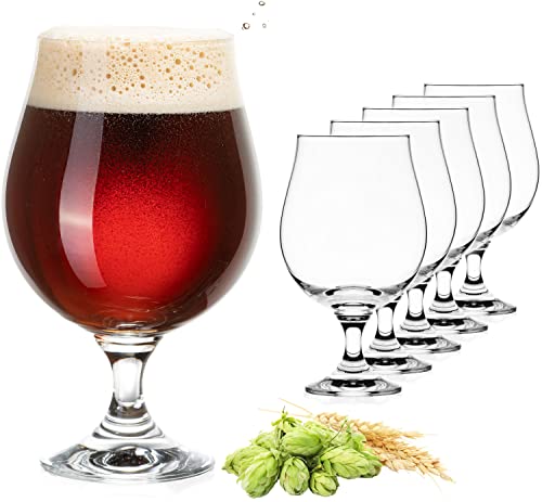 PLATINUX Copas de cerveza, 500 ml (máx. 660 ml), juego de 6 vasos de cerveza de cristal Crystalline