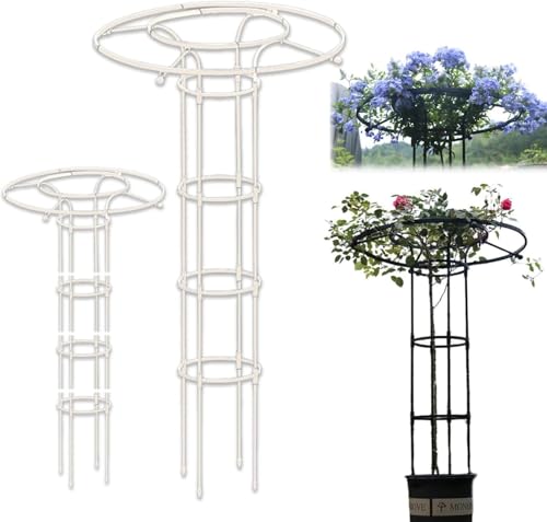 LIIHIU オベリスク トレリス 園芸用品 バルコニー ガーデン 朝顔 庭 トレリス トップサークルデザインのパティオトレリス 金属製 簡単組立式 薔薇 バラ ガーデニング アサガオ 屋外 ガーデニング用品 植木鉢 植物 直径25cm (ホワイト,直径2
