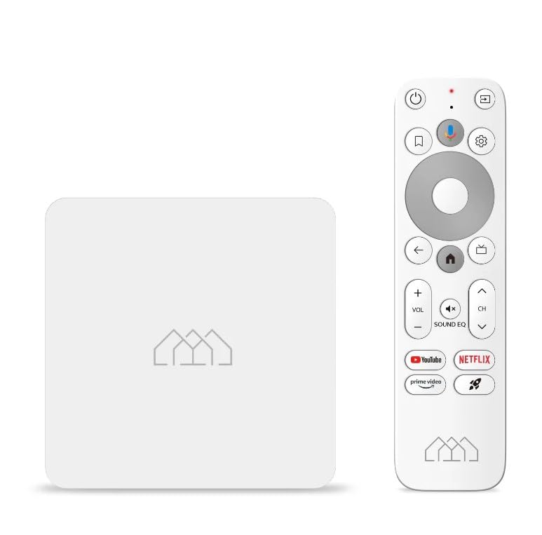 ElectroniksIndia Box R Lite