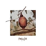 Feruja music