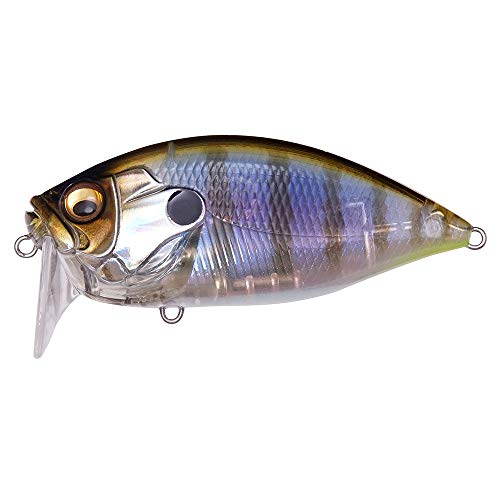���K�o�X(Megabass) O.R.C BURNING SHAD(O.R.C�o�[�j���O�V���b�h) �M�����q