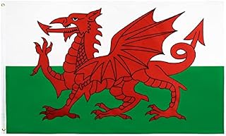 ShreeFit Flag Wales Flag Large Welsh National Flags Polyester with Brass Grommets 3Ft X 5Ft (Pack of 2)