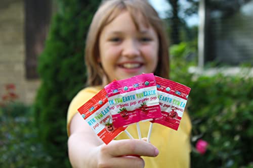 Yumearth Organic Pops Variety Pack, 40 Fruit Flavored Favorites Lollipops, Allergy Friendly, Gluten Free, Non-Gmo, Vegan, No Artificial Flavors Or Dyes #TOP4