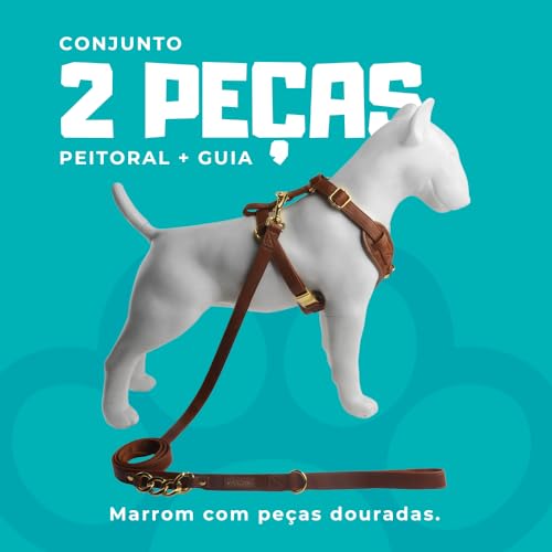 Guia e Peitoral para Cachorros M - Ajuste Regulável – Marrom com Correntes Douradas | Premium MARCAM