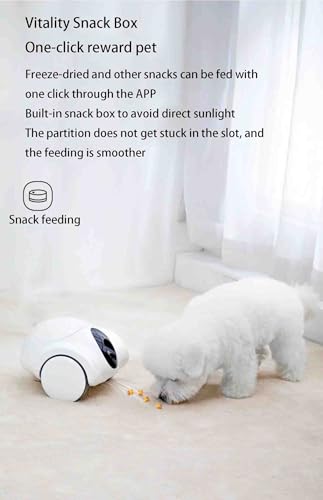 Cámara interactiva para mascotas con dispensador de golosinas, controlada por aplicación, 1080p, HD, inclinación, para perros, dispensación automática, control remoto, juego con gatos y perros a