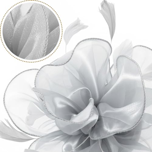 Image of DRESHOW Fascinators Hat Tea Party Headwear Ribbons Feathers on a Headband and a Clip for Women