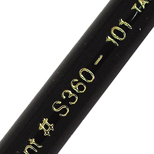 Image of Pentel Arts Color Pen, Black, Box of 12 (S360-T101)