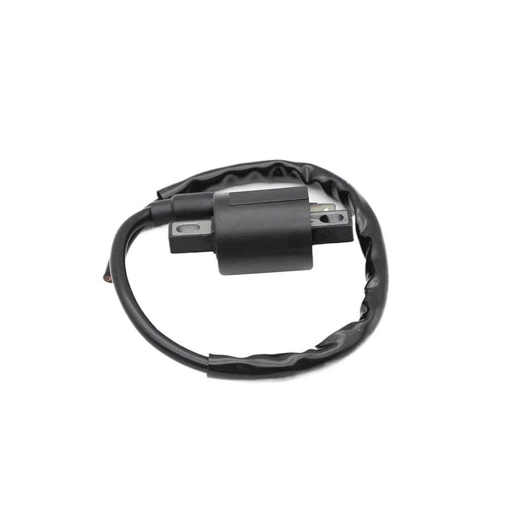 Bobina de encendido para moto cross y carretera compatible con DT50, PW80 y RT100