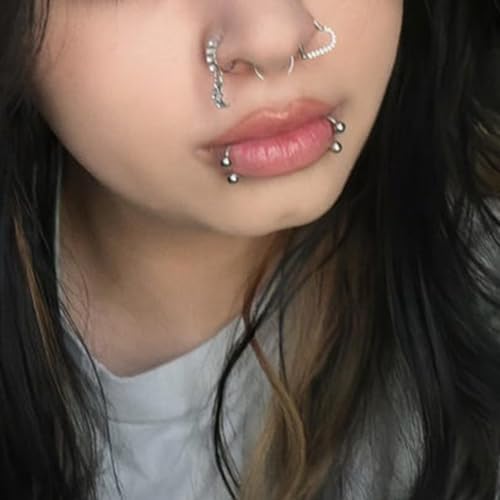 Nose Ring Hoop Heart Clicker Cartilage Surgical Steel Daith Earrings Septum Clicker Ring Hoop 16G Rook Cartilage3