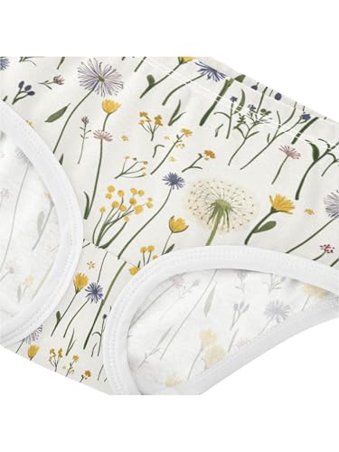 ZZKKO Farm Dandelion Floral Girls Underwear Toddler Panties for Girls Comfort Brief Size 2T4