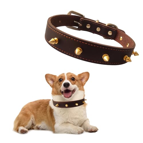 Qianruida Collare per cani in pelle con rivetti, collare a spillo per cani e gatti, anti-morso, regolabile, individualità collare per taglia media, pit-bull bulldog inglese, M