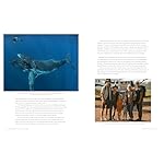National Geographic Bucket List Family Travel: Share the World With Your Kids on 50 Adventures of a Lifetime Hardcover – February 6, 2024 - Image 3