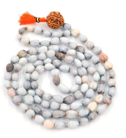 Vaijanti Mala/Natural Vaijanti Mala with Rudraksha/Vaijanti mala Original 108 Rudraksh(Length: 36 inches, Beads: 108+1)