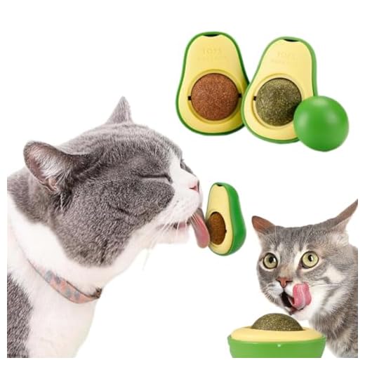 Bola De Lamber Interativa Brinquedos Catnip Para Gato (Abacate)