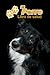 Mi Perro Libro de salud: Border Collie | 109 páginas 15cm x 23cm A5 | Cuaderno para llenar | Agenda de Vacunas | Seguimiento Médico | Visitas Veterinarias | Diario de un Perro | Contactos