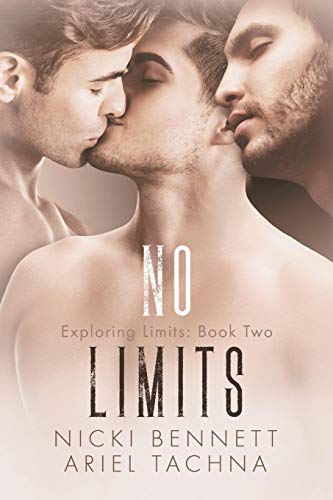 Cover zum Buch No Limits