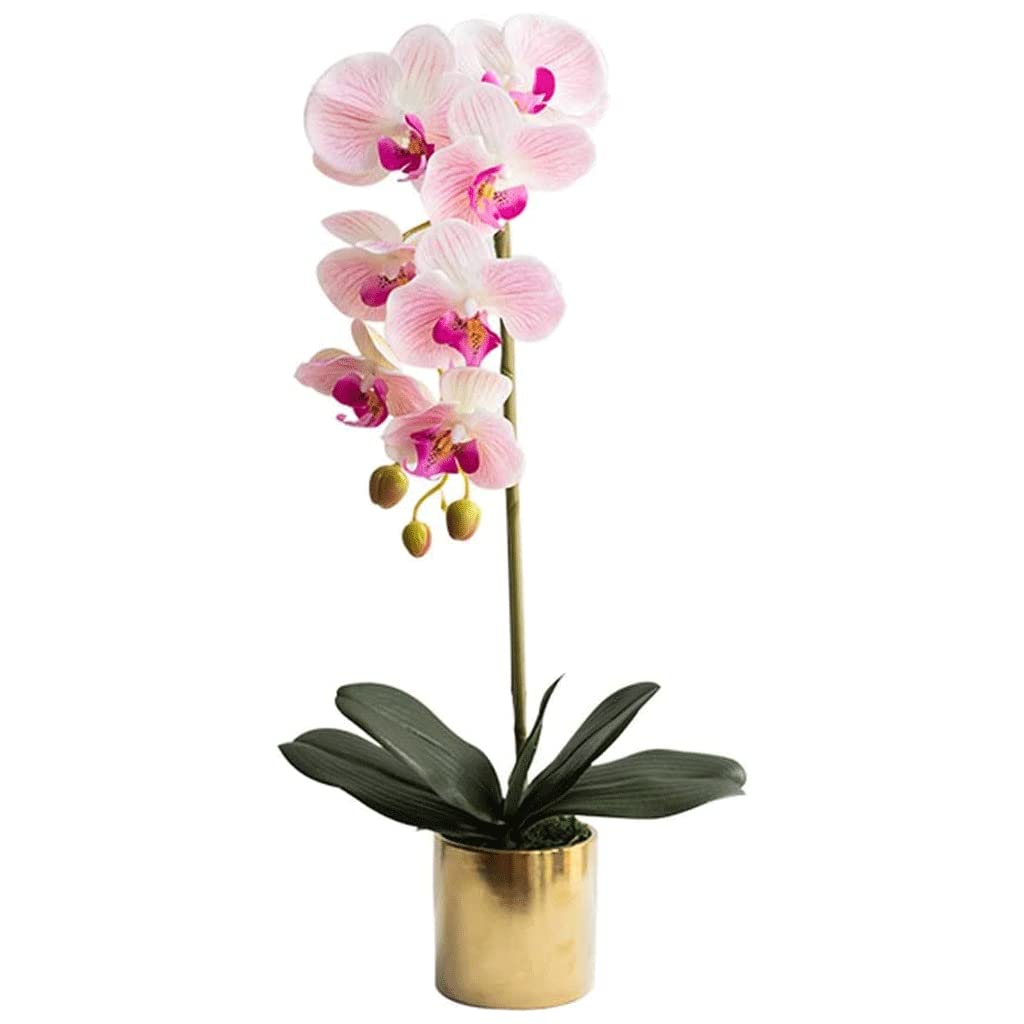 XDLEDMKIZ Orchid Artificial Flowers Artificial Phalaenopsis Flowers Orchids Artificial Flowers Party Wedding Christmas Decoration Artificial Flowers natural look