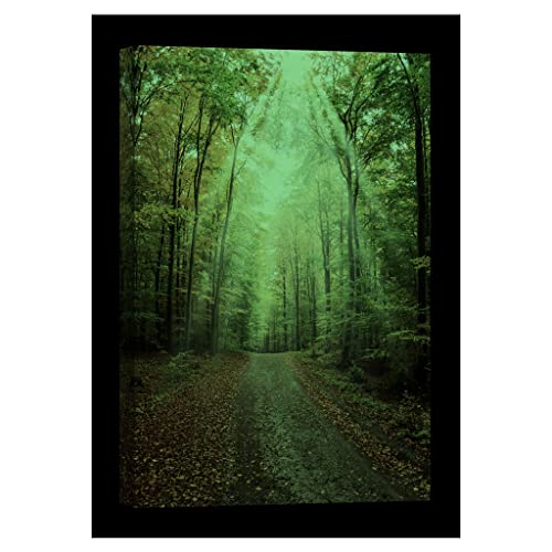 Tableau nature luminescent DCL237-2 déco 80x120 cm