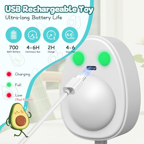 PANRIO Interactive Cat Toys for Indoor Cats,Electric Flying Bird & Mouse Wand Teaser, Automatic Hanging Door Frame Chase/Hunt/Exercise Stimulate String Cat Toy for Bored Indoor Adult & Kitten