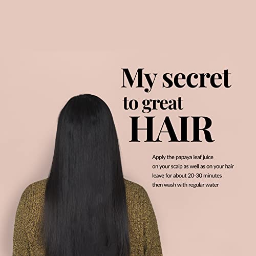 Akshit Organic Papaya Leaves, Hojas De Papaya, 2.6Oz, (Paw Paw Leaves), Dried From Fresh Green Papaya Leaf, Herbal Tea, Non Gmo, Caffeine Free,Sugar Free- Rich In Vitamins. #TOP3