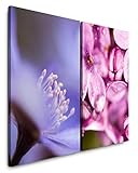 Mit Fine Art Prints von Sinus Art bietet sich eine einfache und wunderbare Möglichkeit Ihre Wohnräume zu gestalten. Verschönern Sie Ihr Wohnzimmer, Schlafzimmer, Kinderzimmer, Küche, Flur, Arbeitszimmer oder Büro und gestalten sie sich Ihr persönliches Wohlfühlambiente.