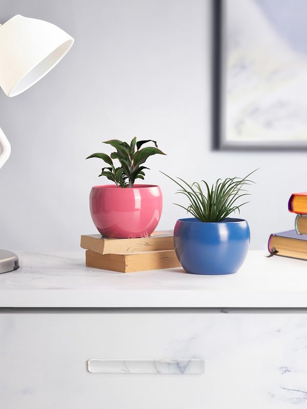 Image of Decorative Multicolour Planters for Indoor Metal Planters for Living Room, Balcony, Home and Office| Apple Shaped Rust-Free Powder Coated Planter | Set of 2 (Blue & Red)