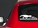 Willis Barnett YOUR STICK FAMILY Is Delicious Decal T-Rex Nobody cares about YOUR STICK FAMILY | Funny Vinyl Sticker | Free Gift Included | Premium Quality | White | 11" x 3"