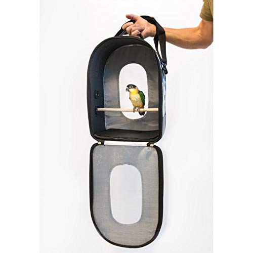 Prevue Pet Products bolsa de viagem de pássaro de lado macio com poleiro pequeno, multicoloridoPrevu