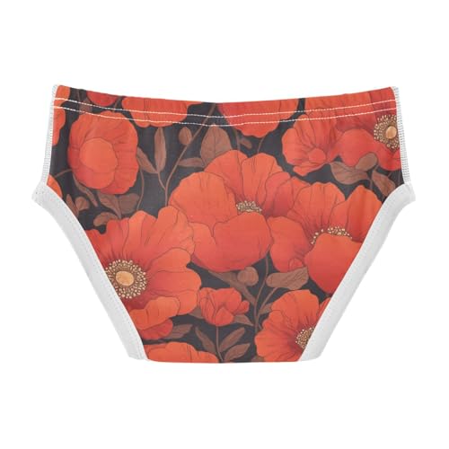 KLL Vibrant Floral Pattern Poppy Toddler Boy Pure Cotton Underwear Briefs Cute Children Undies2