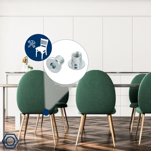 HEXATON Hülsenmutter M6 x 15 x 12 mm – 50 Stück, Flachkopf mit Innensechskant, Stahl verzinkt, Linsenkopf für Möbelverbindungen und Inbusschlüssel